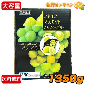 1350gyፑAOzVC}XJbg ɂႭ[[ ڈ75 pE`^Cv mَq VC}XJbg[[ Ԃǂ[[ t[c[[ َq  Mtg v