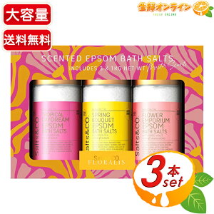 ySalts&Co.zGv\oX\g 3ނ̍ e 1kg×3 Gv\oX\g  C ≖   si ₦ ΍   ێ e  \gAhR[ycostco 