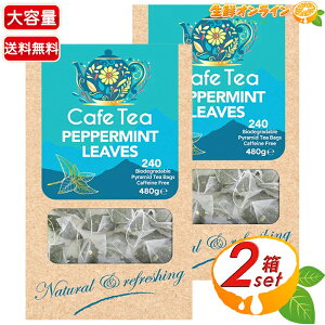 yCafe Teaz100 yp[~geB[ e 240×2Zbg eB[pbN n[ueB[ ~geB[ JtFCt[ lHsgp  u₩ycostco RXgR RXgRʔ́z