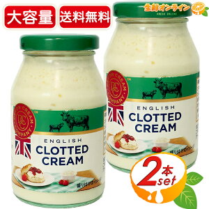 170g×2{ZbgyDevonCreamCompanyzNebhN[ v[ e ~N i CMXY Z N[ XR[ }tB p  Mtg N[①ycostco RXgR RXgR
