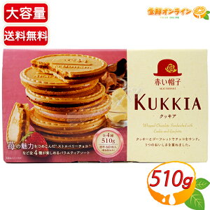 510gyԂXqzNbLA KUKKIA 4 NbL[ S[tbg e W60  َq  yY Mtg v[g o^C zCgf[ NX}Xycostco RXgR 