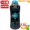 30%増量！≪1130g≫【Downy】ダウニー アンストッパブルズ フレッシュ ビーズ 緑 香りづけ専用 ダウニービーズ 香り付けビーズ 洗濯ビーズ 加香剤 芳香剤 アメリカ製 洗濯用品【costco コストコ コストコ通販】★送料無料★