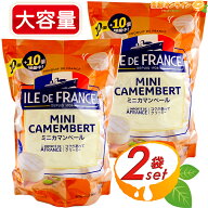 【ILE DE FRANCE】イルドフランス ミニ カマンベールチーズ 大容量 500g (25g×20個入)×2セット フラン…