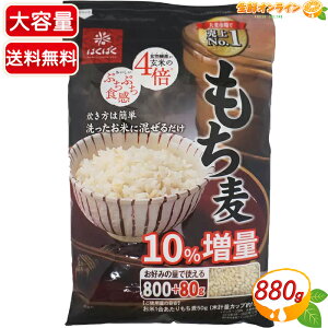 800g+80g×3ܓy͂΂z e v2640g H@ n sn  唞 ͂ T_ X[vycostco RXgR RXgRʔ́z
