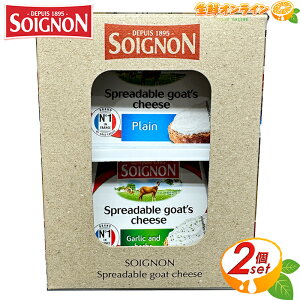 140g×2ySoignonz\j VF[uXvbhA\[g v[ / K[bN&n[u e140g e tXY Rr i``[Y ܂ \jI I[hu p[eB