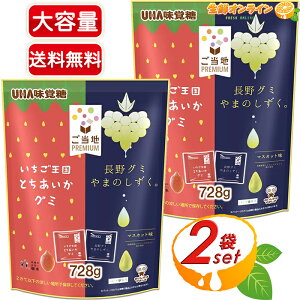 728g×2܃ZbgyUHAoznPremium ƂO~ O~܂̂BA\[gpbN e W26ܓ t[cO~ O~Lf[ O~LfBycostco RX