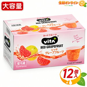 �yVITA+�z�r�^�v���X ���b�h�O���[�v�t���[�c ��e�� 198g×12�� �t���[�c�J�b�v �V���b�v�Ђ� ���L�V�R�Y �J�b�g�t���[�c �ʕ� �N�[���①�ycostco �R�X�g�R �R�X�g�R�ʔ́z