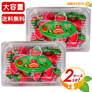 �yBOB MOOS�z�X�g���x���[�O�~ ����e�� 576g×2�Z�b�g �������O�~ 3D�O�~ �\�[�X���� �C�`�S�W�����o�[�X�g�O�~ �O�~�L�����f�B�[ ���َq ����� �ycostco �R�X�g�R �R�X�g�R�ʔ́z������������