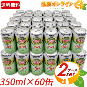 60ʃZbgy_CGbgWW[G[zJi_hC Nu}`pbN diet GINGER ALE e (350ml×30)×2P[X Y_ W[X [J[ J[[ 0J[ [V