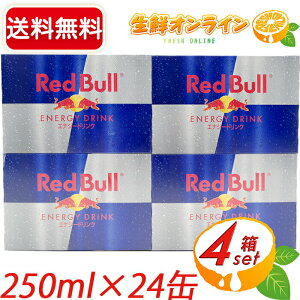 250ml×24{yRed Bullzbhu GiW[hN e 24 Y_ W[X GiW[ӂ1ɁIycostco RXgR RXgRʔ́z