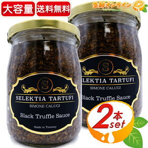 500g×2{ZbgySELEKTIA TARTUFIzgt \[X e ubNgt ZNeBA C^AY gt\[X ґȖ킢̃\[X  \[X y[Xg BLACK TRUFFL