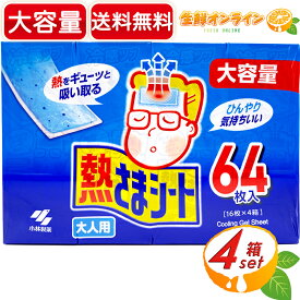 冷えピタ アメリカ
