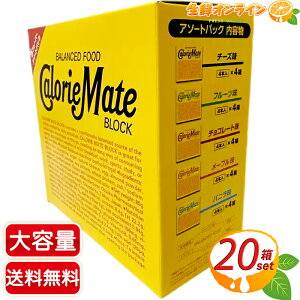 20yCalorie MatezJ[Cg ubN A\[gpbN 20 5ނ̃A\[g4Â `[Y/t[c/`R[g/[v/oj h{⏕Hi h{Hi 