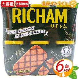 ≪340g×6缶≫【RICHAM】東遠 リチャム ランチョンミート スパム 2040g(340g×6缶) ◇しょっぱくないからヘルシー♪ 100%ポーク！◇◎おつまみやアレンジ料理にも♪◎ 大容量 まとめ買い 缶詰 保存食 減塩 【costco コストコ コストコ通販】 ★送料無料★