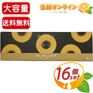 16yNzt[ ƂȂ߂炩 ƂȂ̂΂ށB eʁIoEN[w iȊÂ̑l̖ o[N[w Mtg mَq XC[c a v[g pP[