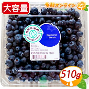 510g yRXgRzu[x[ e Ԃ̃r^~ u[x[ ʕ t[c X[W[ [Og W Blueberries N[①ycostco RXgR RXgRʔ́z