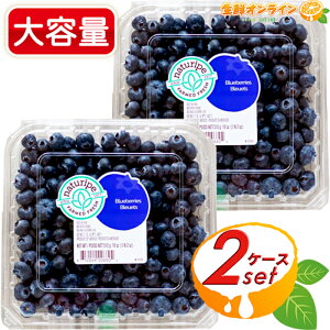 510g×2P[XyRXgRzu[x[ e Ԃ̃r^~ u[x[ ʕ t[c X[W[ [Og W Blueberries N[①ycostco RXgR RXgRʔ́z