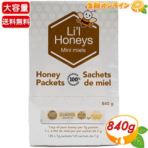 yBeeMaidz݂͂ |[VpbN e 840g (120ܓ) I n`~c ݂͂ 100%݂͂ Ji_Y  g^Cv r[Ch Lifl Honeysycostco RXgR RXgR