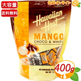 ≪400g≫【Hawaiian Host】ハワイアンホースト ドライマンゴー・チョコアソートバッグ ◎マンゴーとチョコの組み合わせ◎ ドライフルーツ チョコレート マンゴーチョコ お菓子 おやつ バレンタイン ホワイトデー ギフト【costco コストコ コストコ通販】★送料無料★