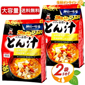 ≪20食入×2袋セット≫【神州一味噌】とん汁 コクが自慢のとん汁 お徳用 本格即席豚汁 おいしさそのまま生みそタイプ 大容量 コストコ 味噌汁 豚汁 即席みそ汁 汁物 インスタント スープ レトルトパウチ 持ち運び アウトドア【costco コストコ コストコ通販】★送料無料★