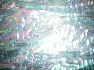 140×240唻ъLifjSV[gtM^[̃CCނȂǂ