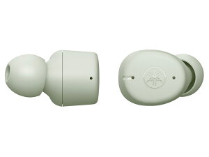 YAMAHA SCXCz TW-E3C(G) Vi