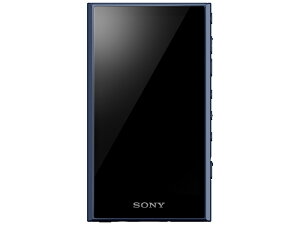 SONY WALKMAN NW-A306 (L) [32GB �u���[]