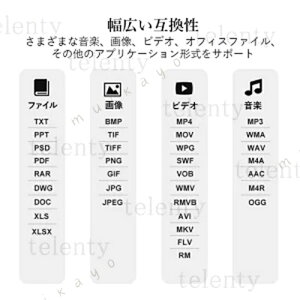 4in1USB������128GB��e��256GB�o�b�N�A�b�v�����t���b�V���X�}�z�pUSB�t���b�V���h���C�u�^�C�v�f�[�^�ڍs�p�\�R��USB��������]���ψ��A�ϐk�A�ϐo�A�ύ���