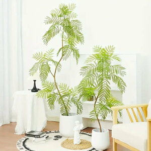 �G�o�[�t���b�V�� �l�H�ϗt�A�� ���� �W���J�����_ �� �X�� ���A���ȗ� �傫�ȐA�� ���� �I�t�B�X �J�t�F ���X�g���� �z�e�� �V���b�v �i�`������ ���R �Q�� �z�[���f�R���[�V���� �C���e��