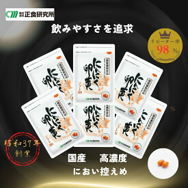 にんにく卵黄 ソフト300 (62粒入) 6袋 セット ≪正食研究所公式≫ ニンニク 卵黄 サプリ 福地ホワイト六片 にんにくサプリメント ソフト カプセル 小粒 青森県産にんにく 栄養サプリ 健康食品 青森 国産 にんにく サプリメント 元気 活力 疲れ だるい ニンニクサプリ