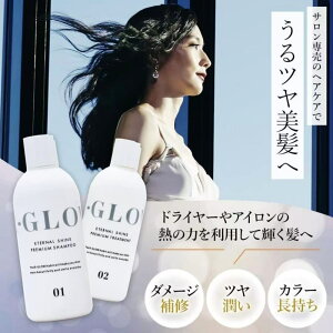 �y�T�����ꔄ�i�zR-GLOW �G�^�[�i���V���C�� �v���~�A���Z�b�g 250ml �V�����v�[ �g���[�g�����g �w�A�P�A �_���[�W�P�A �c�� ���� �J���[�P�A ���e���i��