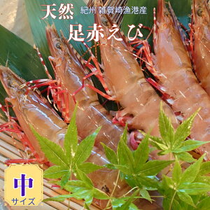 IB yԂсza̎RG苙`Y VRԊCV }t̏uԗⓀ TCYyz260g`280g 6