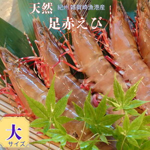 IB yԂсza̎RG苙`Y VRԊCV }t̏uԗⓀ TCYyz220g`250g 4