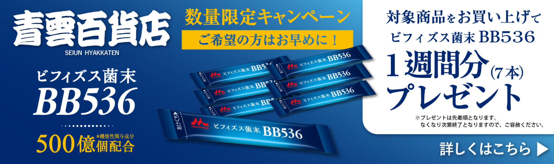 数量限定キャンペーン
