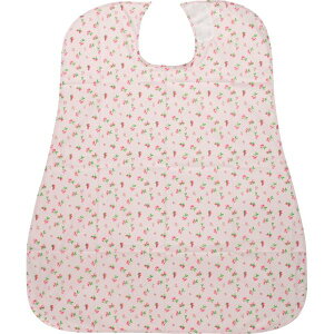  HpGv CX-01002 t[csN