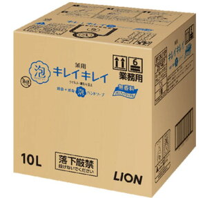 Ɩp LCLCpAnh\[v 10L v