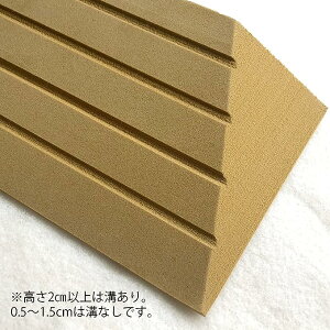 �V���G�C�e�N�m �i�������X���[�v�u�^�b�`�X���[�v�v - 100-10