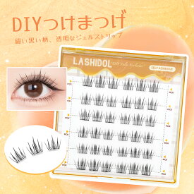 LASHIDOL 部分つけまつげ のり不要 すぐピタまつ毛 部分用 つけまつげ のり付き 束感まつ毛 つけま
