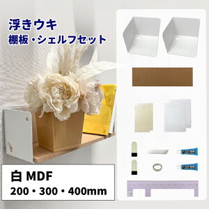 �����E�L�I�E�V�F���t�Z�b�g MDF��200�E300�E400mm �y��/�ω׏d��2kg�z ����҂��ڒ��� �w���t �\���Ă͂�����