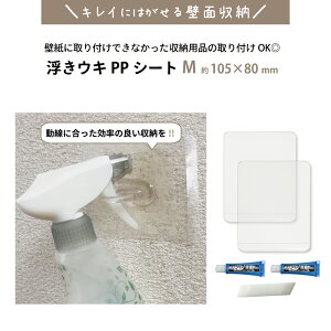 yNbN|XgΉzELPPV[giZbgj M 105×80mm ҂ڒ wt \Ă͂