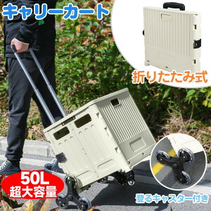 _yVC[OXӍ 11/14-11/16 |Cg10{ I^VbsOJ[g L[J[g iKoLX^[ e 50L ܂肽 J[g LX^[t 4 y ^ É AEg