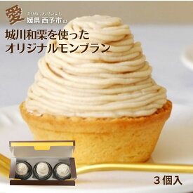 モンブラン 栗 3個セット 和栗 スイーツ 冬のスイーツ クリスマススイーツ ケーキ 宅配 モンブランケーキ お取り寄せ お取り寄せスイーツ 栗のお菓子 マロンスイーツ 美味しい 四国 愛媛 えひめ 西予 せいよ メニークエスト ギフト 贈り物 内祝い 誕生日 御礼 お見舞い