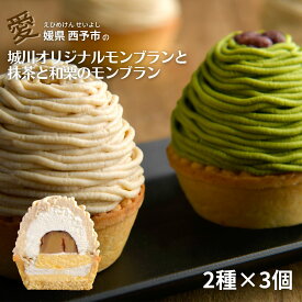 抹茶 モンブラン 冬スイーツ クリスマススイーツ 栗 和栗 6個 スイーツ ケーキ お正月 四国 愛媛 モンブランケーキ 美味しい お取り寄せ ケーキ通販 えひめ 西予 せいよ メニークエスト お歳暮 ギフト 美味しいケーキ 高級スイーツ 贈り物 内祝い 誕生日 御礼 お見舞い