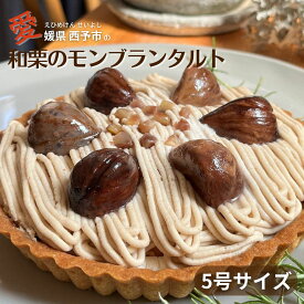 モンブラン タルト 栗 冬のスイーツ 和栗 スイーツ ケーキ 栗のお菓子 クリスマススイーツ 四国 愛媛 モンブランホールケーキ えひめ 西予 せいよ 美味しいケーキ お正月 モンブランタルト 高級スイーツ ギフト 贈り物 内祝い 誕生日 御礼 お見舞い モンブランケーキホール