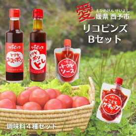 トマト ポン酢 ユズポン ドレッシング ケチャップ 調味料 詰め合わせ 遊子川ザリコピンズ 四国 愛媛 西予 えひめ せいよ お中元 御中元 ギフト 贈り物 内祝い 誕生日 御礼 お見舞い 【リコピンズBセット】