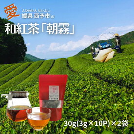 【スーパーSALE期間ポイント10倍】和紅茶 紅茶 お茶 国産 日本産紅茶 オーガニック 安心 安全 紅茶ティーバッグ 安心 グルメ 四国 愛媛 西予市 香り ティーバッグ 家庭用 えひめ せいよ 明芳園 お取り寄せ お茶お取り寄せ 送料無料 お茶の明芳園