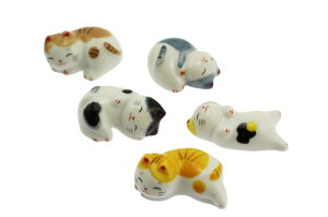 speed mao   L Z~bN u Jg[ 5 Zbg