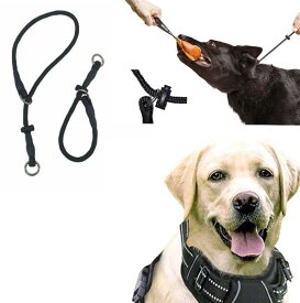 ペット用品 犬用 リード 中型犬 大型犬 訓練用 チョークチェーン 引っ張り防止 散歩用 トレーニング用 丈夫 耐久性 高強度 ステンレス製 金属製 シルバー 訓練用首輪 スリップリード しつけ用 安全 頑丈 掴みやすい アウトドア トレーニング 散歩