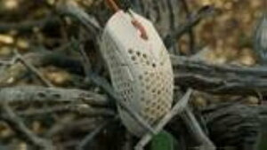 Finalmouse Ultralight 2 - Cape Town USB Q[~O}EX