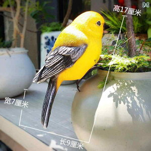 DIY  ANZT[ NGCeBu V~[V  VWEJ f  i  Ƃ  i  U  IE Aؔ y_g